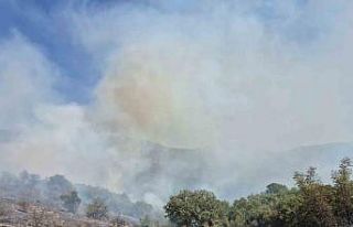 Kepsut’ta orman yangını