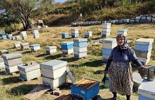 Keşan’da arıcılara yönelik bilgilendirme yapıldı