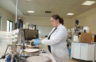 Kâğıt atıkları doğada çözünebilir saksıya...