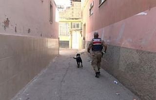 Kilis’te 2 yaşındaki kız çocuğu kayboldu