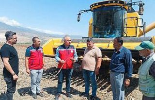 Kırıkhan’da ayçiçeği hasadı başladı