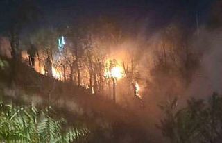 Kırıkkale’de ağaçlık alanda yangın