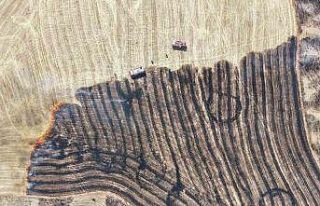 Kırıkkale’de anız yangını