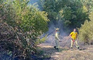 Kırklareli’de orman yangını