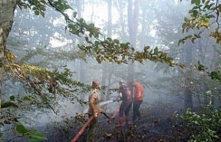 Kırklareli’de orman yangını kısa sürede söndürüldü