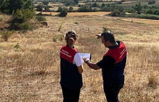 Kırklareli’nde işlenmeyen tarım arazileri tespit...