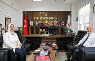 Kırsal kalkınmanın hızlanmasını konuştular