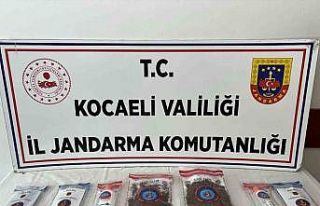 Kocaeli’de 114 adet sentetik ecza ele geçirildi:...