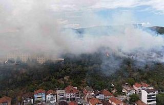 Kocaeli’de ağaçlık alana sıçrayan yangın kontrol...