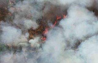 Kocaeli’de orman yangınına havadan ve karadan...