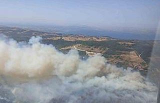 Kocaeli’de ormanı yangını nedeniyle Akçat köyü...
