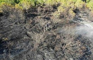 Kocaeli’deki orman yangını 1 saatlik müdahaleyle...