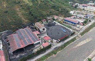 Kömür tozu hayatlarını kararttı