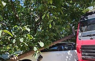 Kontrolden çıkan kamyon otomobile çarparak durdu