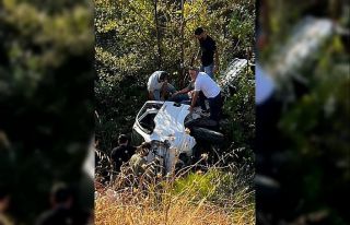 Kontrolden çıkan kamyonet ağaçlık alana uçtu