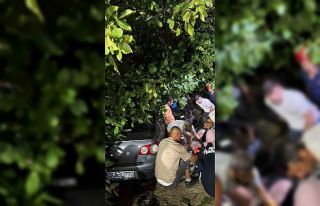 Kontrolden çıkan otomobil, ağaçlık alana girdi:...