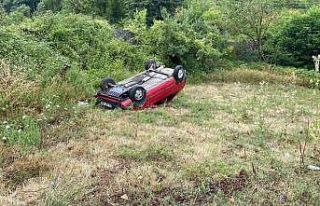 Kontrolden çıkan otomobil bahçeye uçtu: 1 yaralı