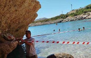 Koruma altına alınan Akdeniz foku, kontrollerinin...