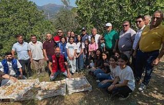 Köşk’te gönüllü hasat şenliği gerçekleştirildi