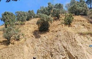 Köşk’teki zirai alan yangını kontrol altına...