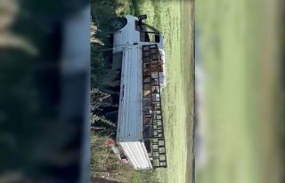 Kovan yüklü kamyonet devrildi, arılar etrafa yayıldı