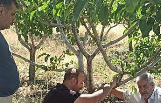 Kovancılar’da çiftçiler bilgilendirdi