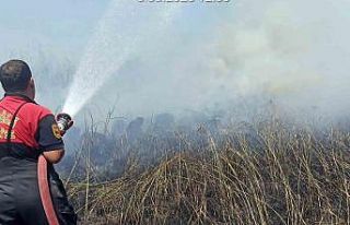 Köyceğiz sazlık yangınında soğutma çalışması...