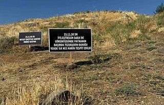 Küçük Narin’in canice katledilişinin üzerinden...