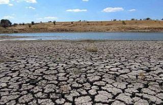 Kuruyan gölette derin çatlaklar oluştu