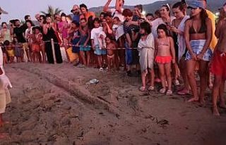 Kuşadası’nda koruma altındaki yuvadan ilk yavrular...