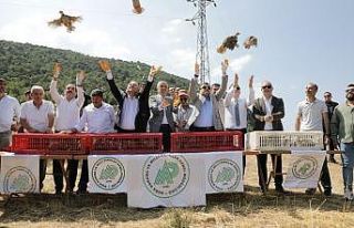 Kütahya’da 300 keklik doğaya salındı