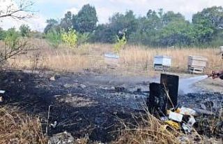 Kütahya’da arazi yangınında 7 arı kovanı kül...