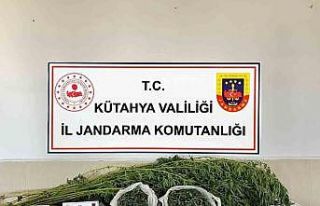 Kütahya’da uyuşturucu operasyonu