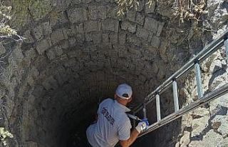 Kuyuya düşen tilki kurtarıldı