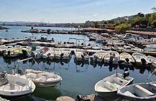 Limanda tatlı telaşe: Balıkçılar Lüfer ve palamuttan...