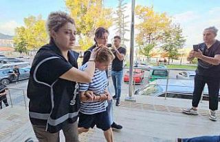 Lüks otelde tatil vurgununda şüpheli kadın tutuklandı,...