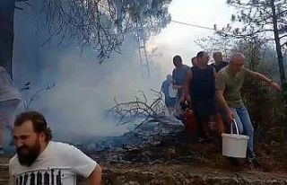 Mahalleli birlik oldu, orman yangınına kovalarla...