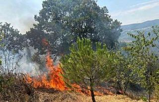 Makilik alanda çıkan yangın ekiplerin hızlı müdahalesiyle...