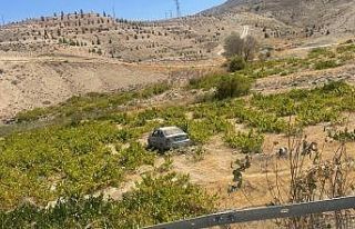 Malatya’da kontrolden çıkan araç üzüm bağına...