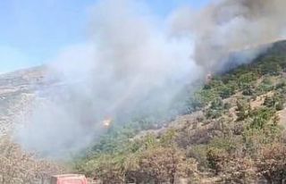 Malatya’daki orman yangını söndürüldü