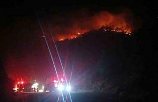 Malatya’daki orman yangını sürüyor