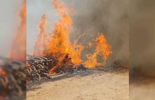 Malatya’nın Doğanyol ilçesinde orman yangını