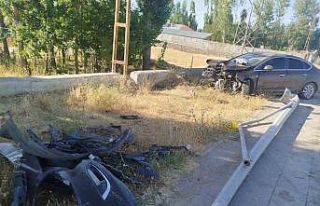 Malazgirt’te otomobil direğe çarptı: 1 yaralı