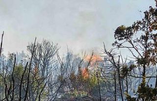 Malkara’da makilik alanda yangın