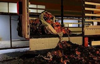 Mangal kömürü yüklü tır alev alev yandı