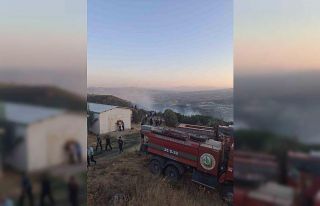 Manisa’da orman yangını