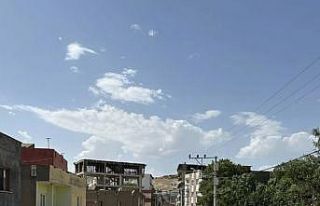 Mazıdağı Belediyesi halı desenli yola 11 milyon...