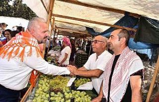 Menemen’de Bozalan İncir Festivali heyecanı yaşanacak