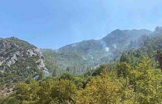 Mersin Anamur’daki orman yangını büyük ölçüde...