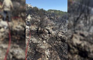 Mersin Silifke’de yangın ormanı sarmadan söndürüldü